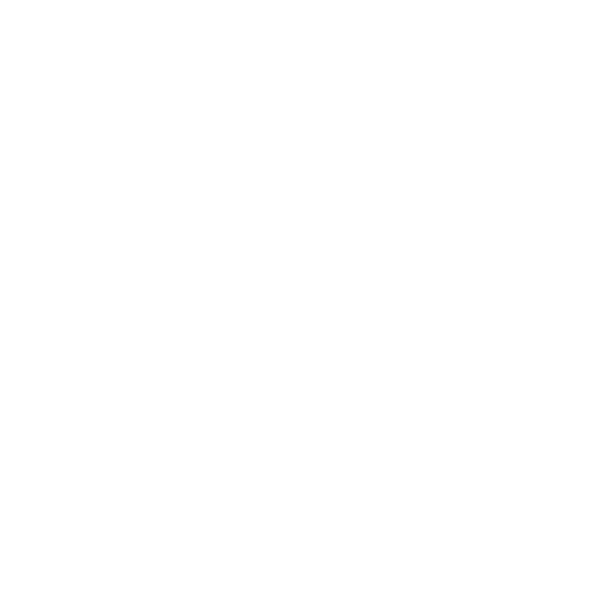 StiVi_Logo_White